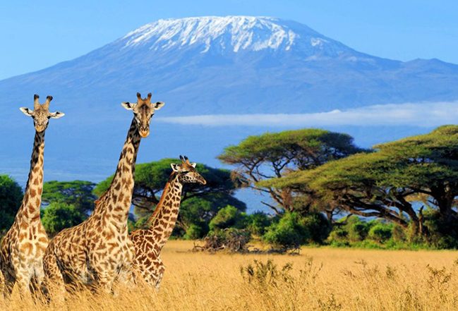 Tanzania